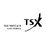 TMX Venture Exchange